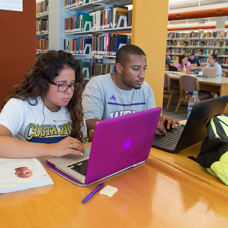 Students studying in the Hunter Library