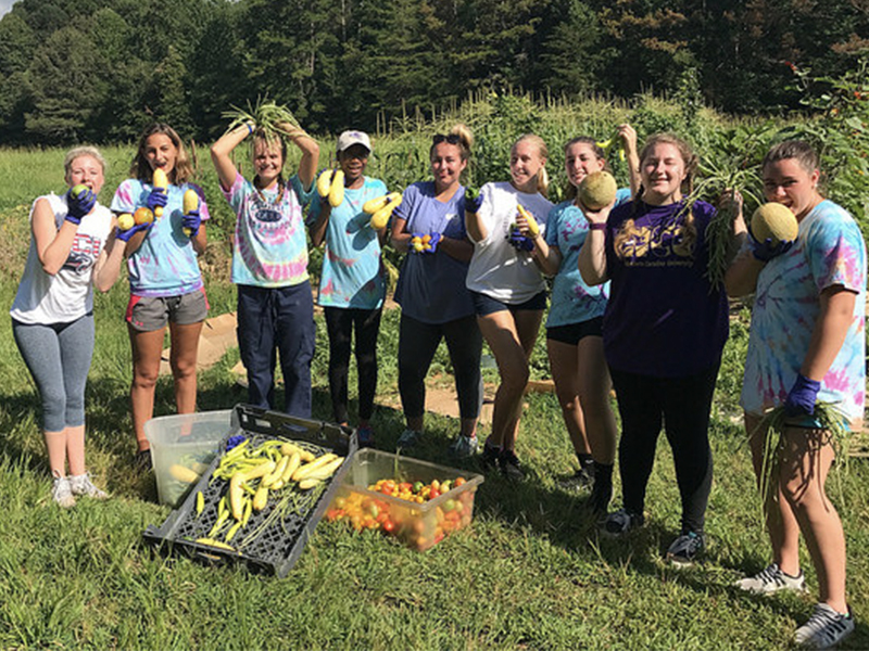 Students from "the Ripple Effect" learning community performing community service in the Cullowhee Community Garden