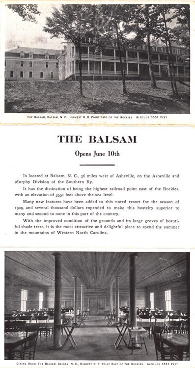 The Balsam