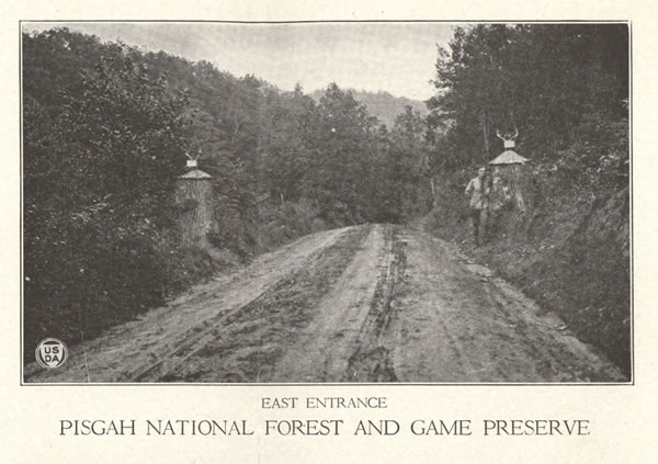 National Forests of the Southern Appalachians