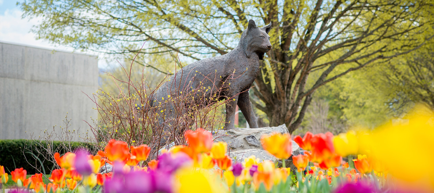 Catamount Statue with tulips
