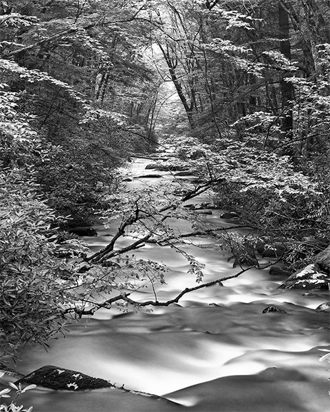 John Dickson, Oconaluftee River, 2002, archival pigment print, 19.5 x 15.25 inches, Gift from the Ray Griffin/Thom Robinson Collection. Image courtesy of the artist.