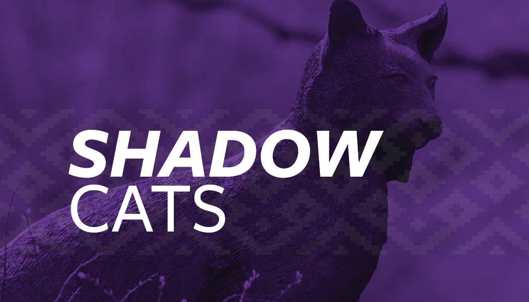 A photo of the catamount statue with the text "Shadow Cats" over it.