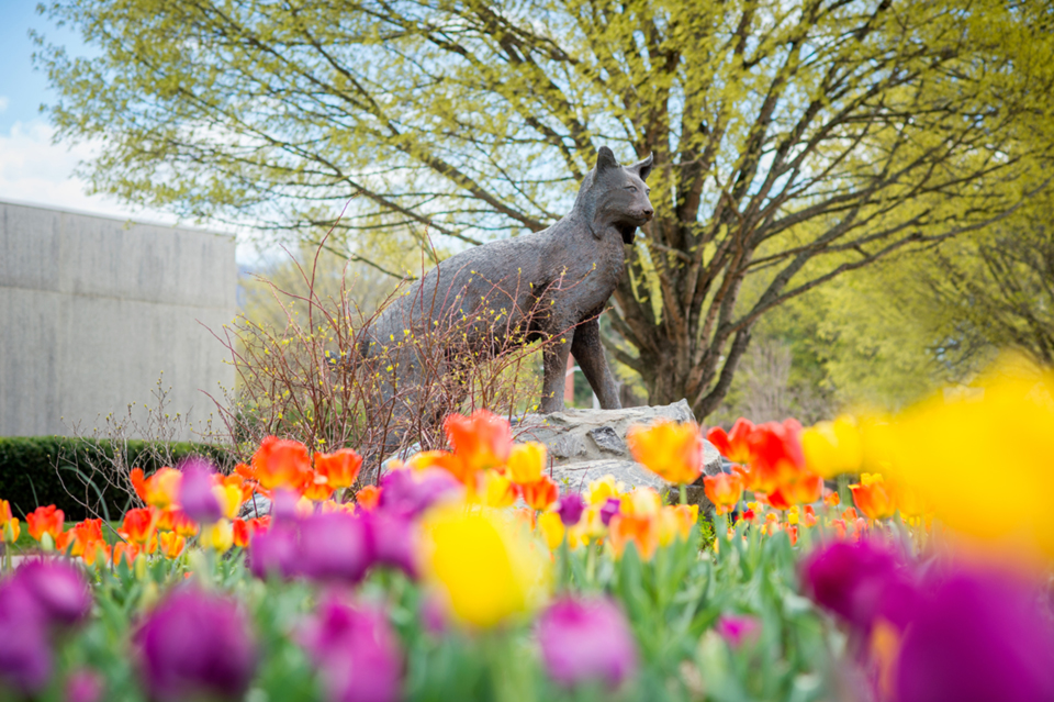 The Catamount Statue in spring