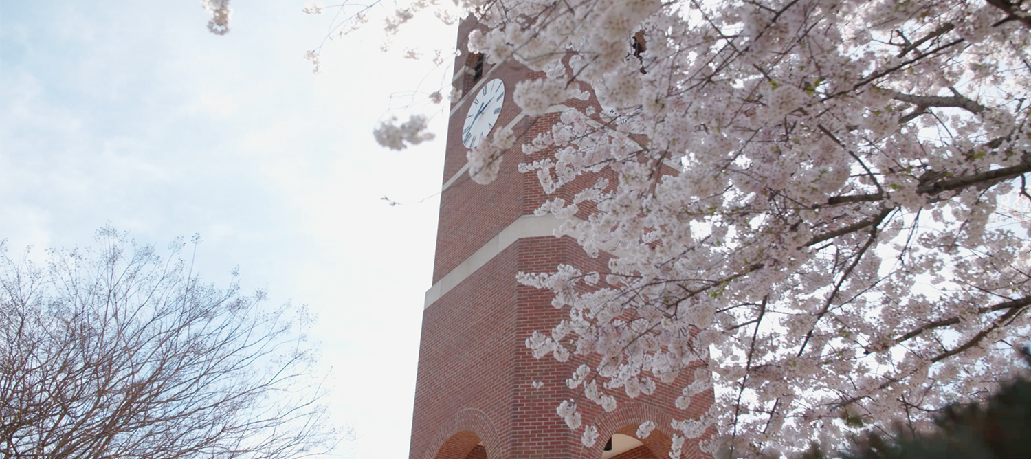 A photo of the tower in spring