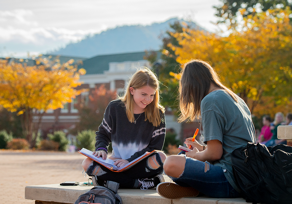 Students Studying Outside