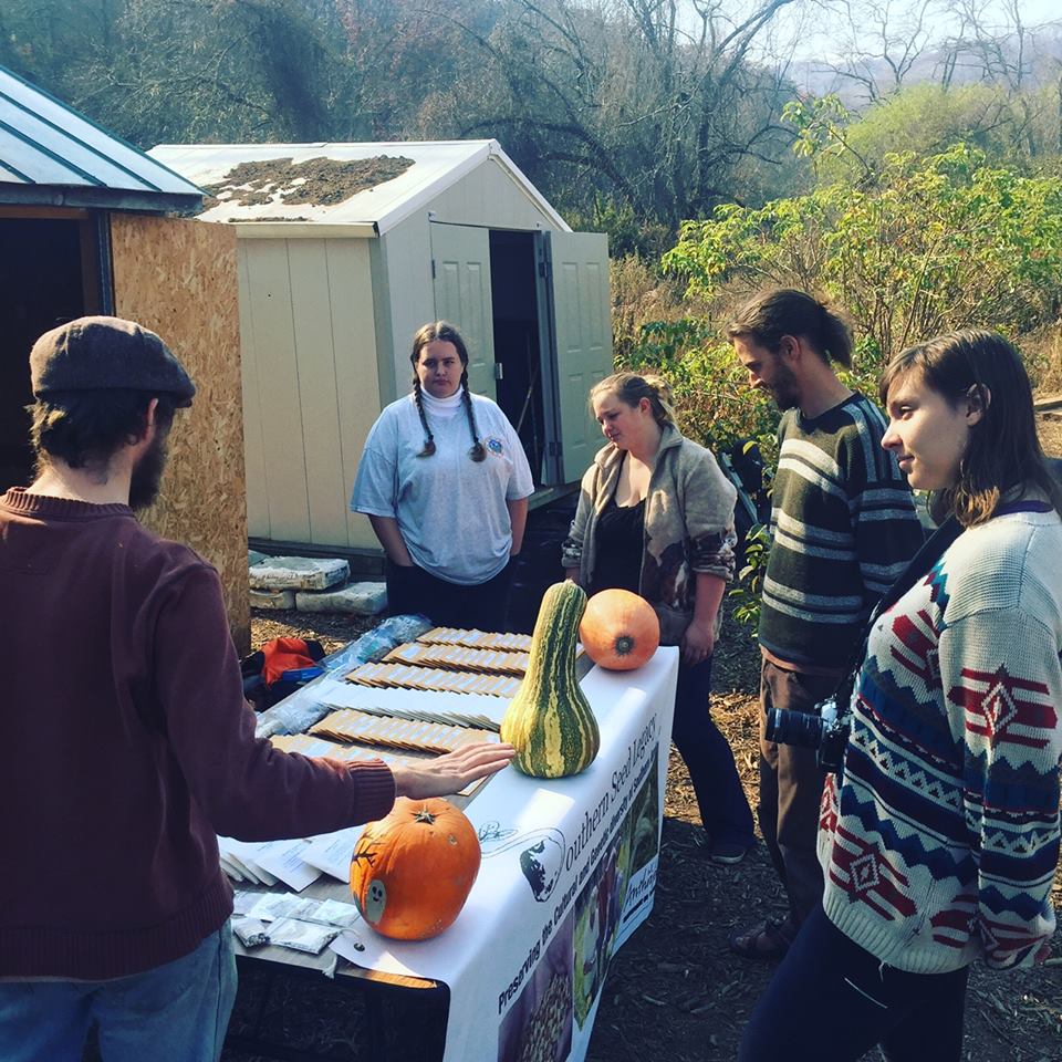 Students at a Seed Table