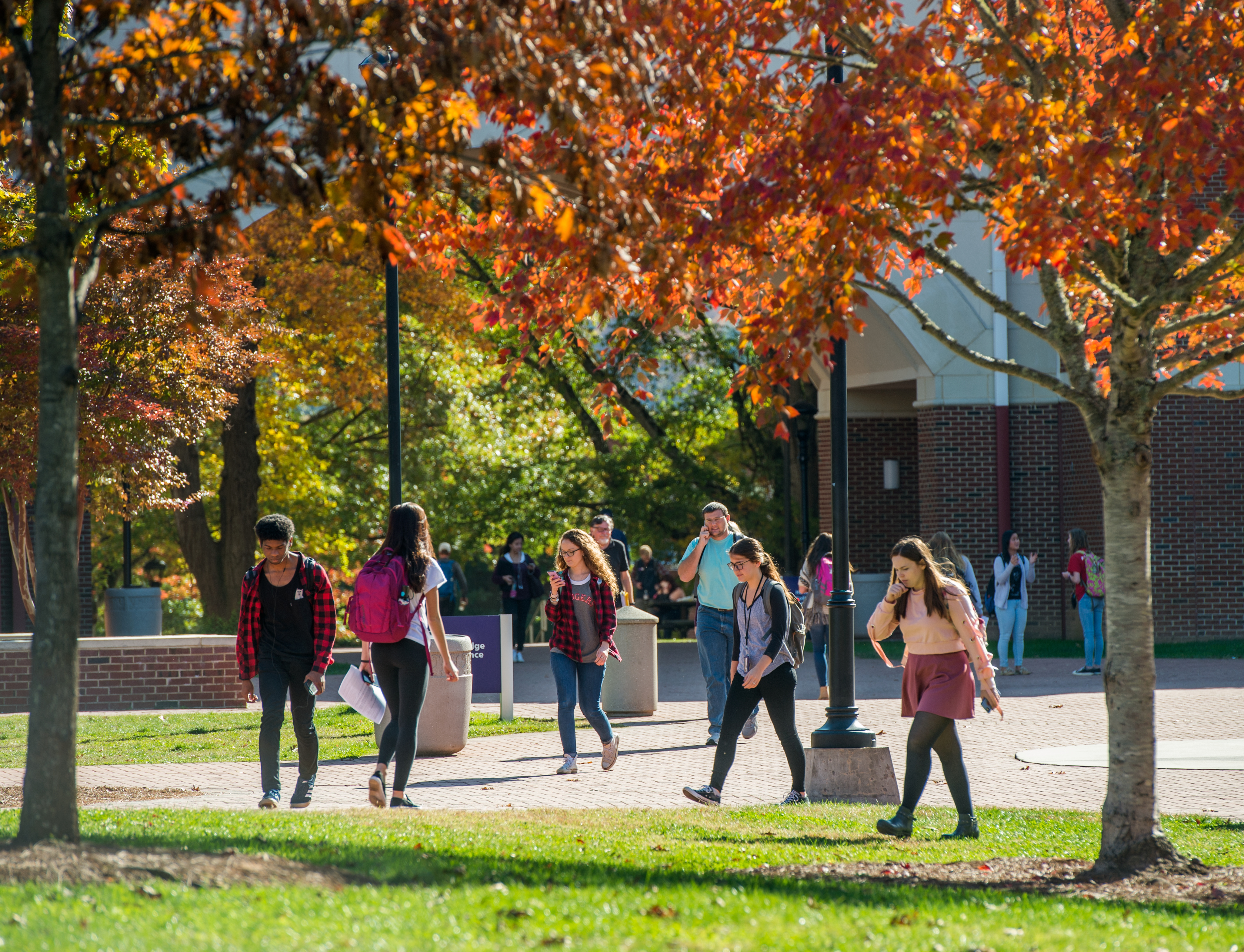 students walking along the campus sidewalk surrounded by fall leaves