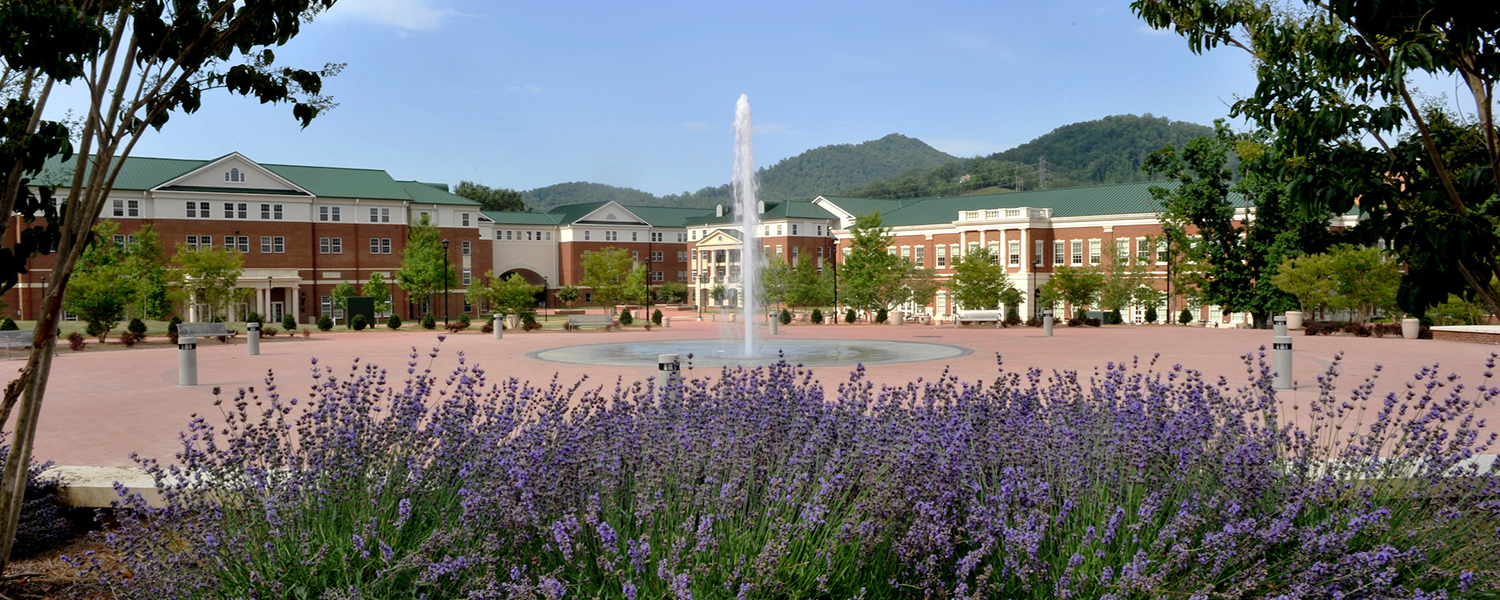 Image of the center of campus' fountain 