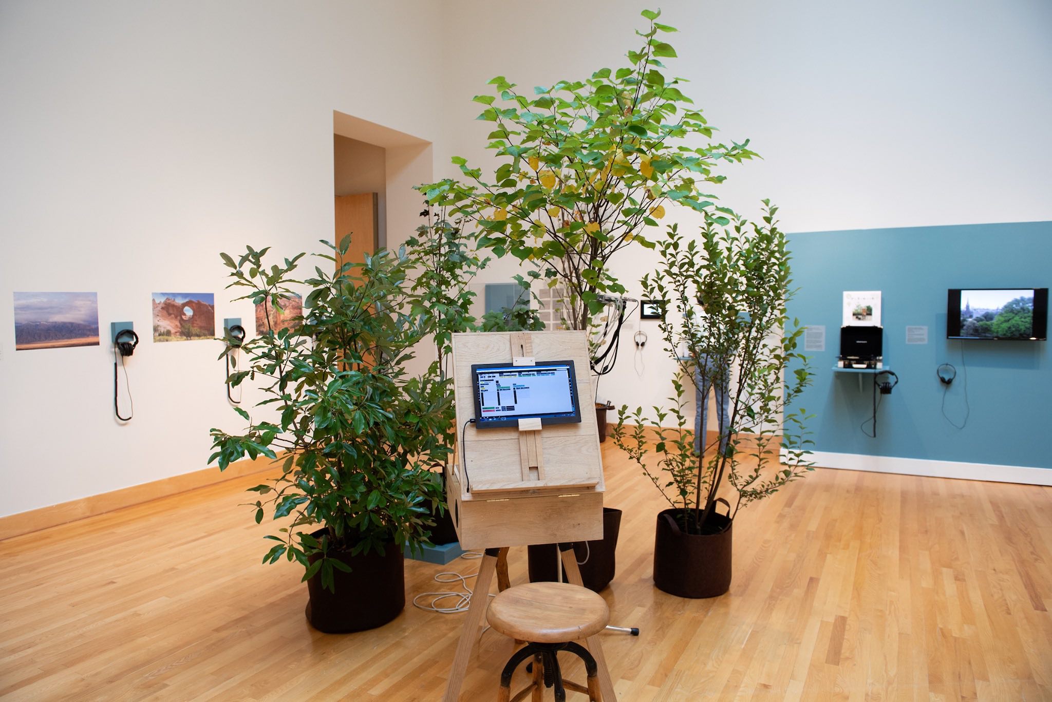 Resounding Change: Sonic Art and the Environment Installation View