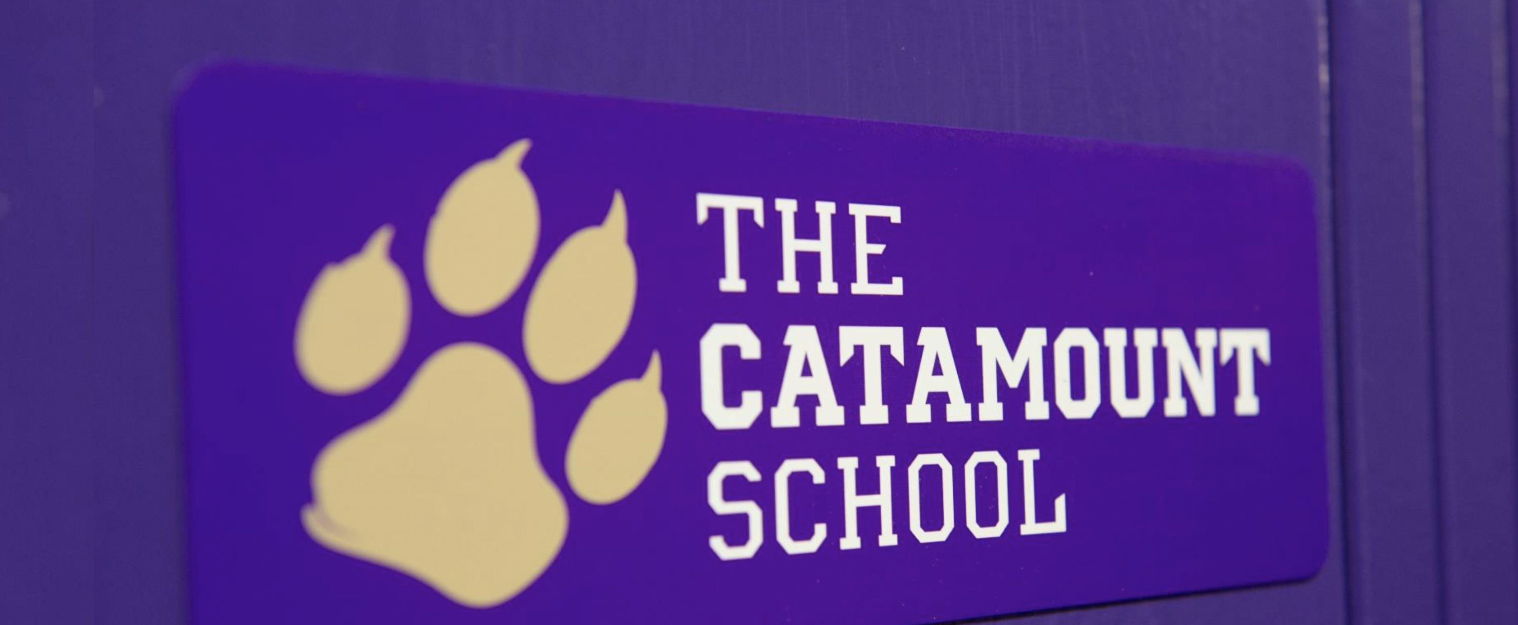 The Catamount School