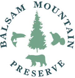 Balsam Mountain trust Logo