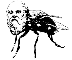 fly with Socrates head
