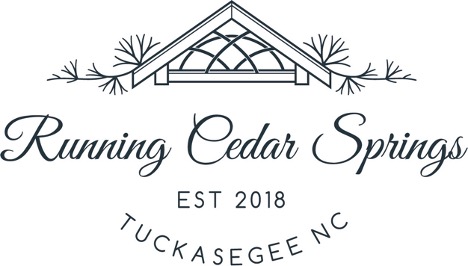 running cedar springs logo