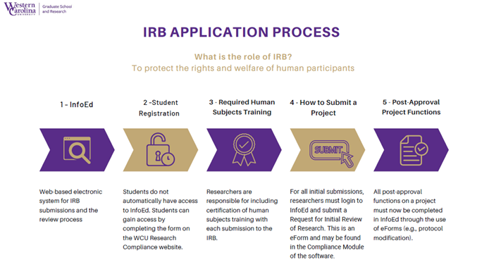 IRB process infographic