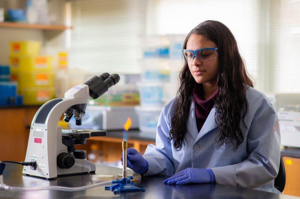 A student doing research in a lab