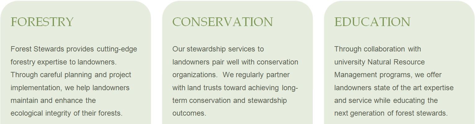 stewardship: Forest Stewards is a non-profit corporation created to promote and implement forest stewardship in the Appalachians.