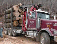 Logging truck Loaded
